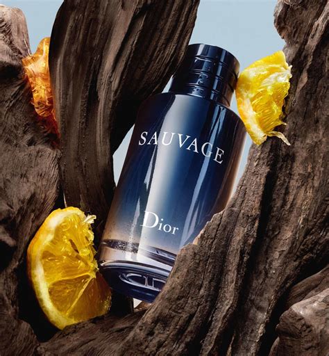 dior wild wood|sauvage Dior.